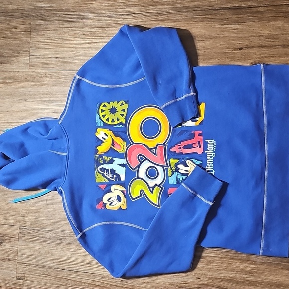 Disney Blue Zip-Up Hoodie with 2020 Logo - Picture 5 of 8